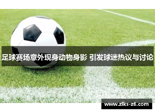 足球赛场意外现身动物身影 引发球迷热议与讨论